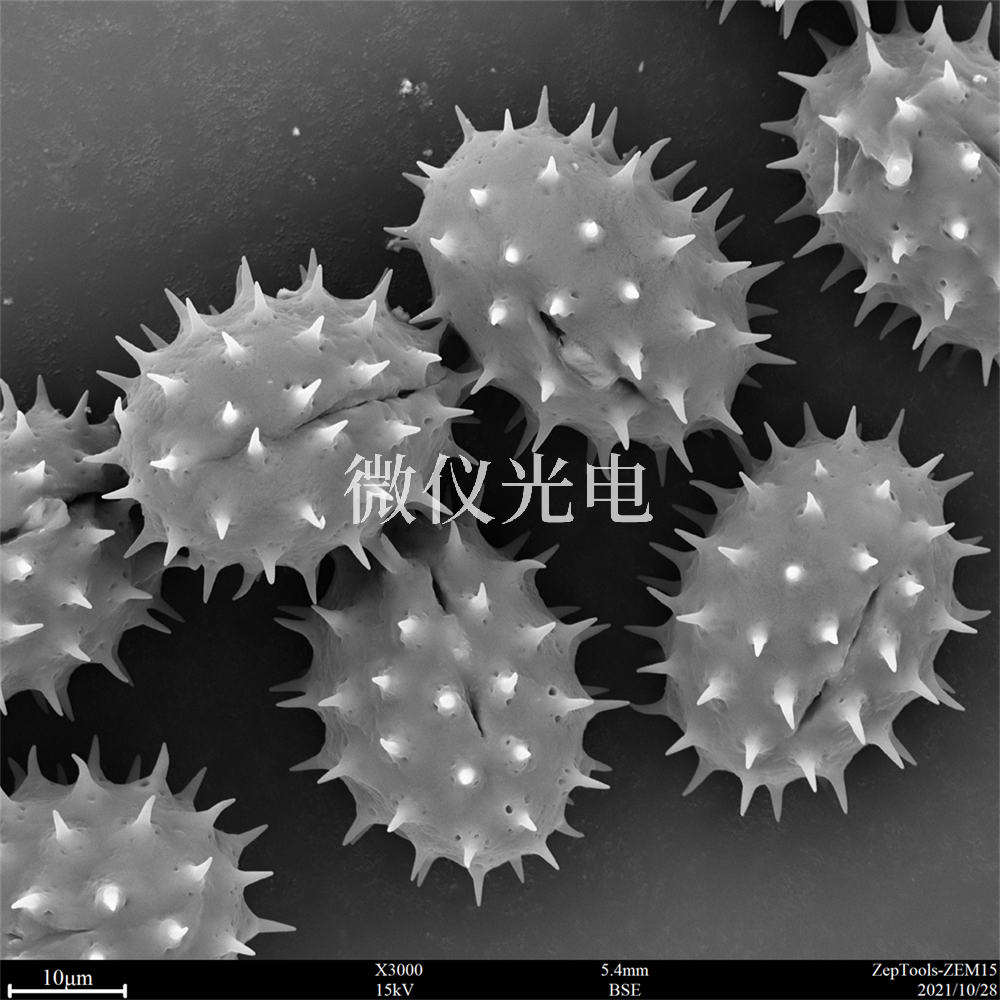 掃描電鏡測樣，要注意什么？